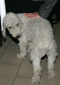 IMG_0653.gif